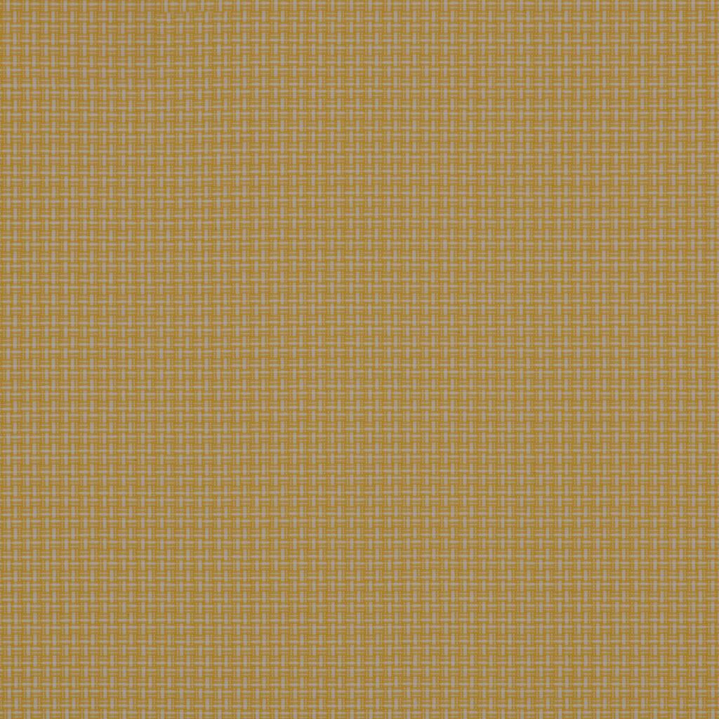 D202249S_1.jpg img